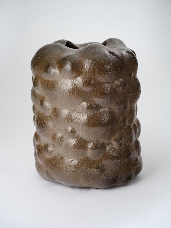 Jozef Sušienka – Vase I. 