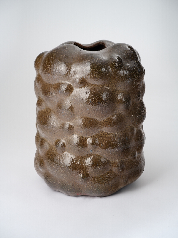 Jozef Sušienka – Vase I. 