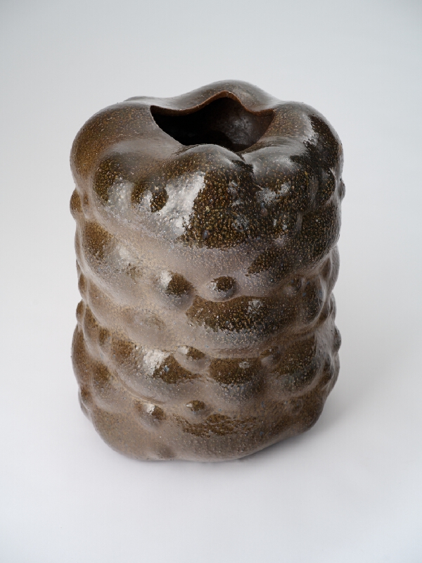 Jozef Sušienka – Vase I. 