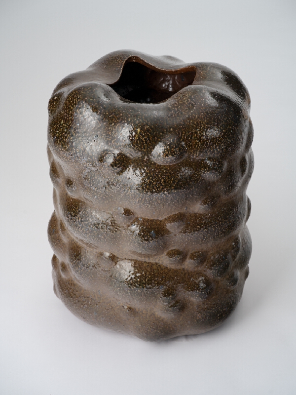 Jozef Sušienka – Vase I. 