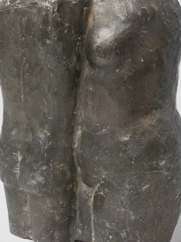 Ladislav Snopek – Torzá 