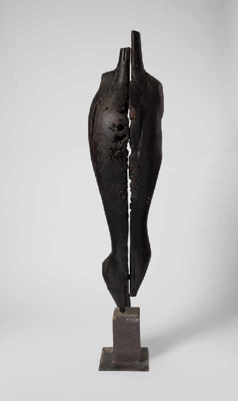 Juraj Hovorka – Pravdepodobná diagnóza 