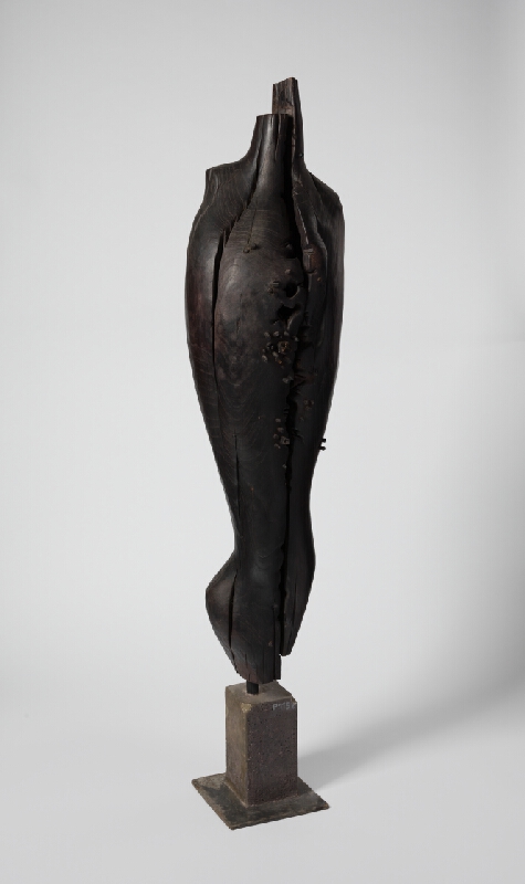 Juraj Hovorka – Pravdepodobná diagnóza 