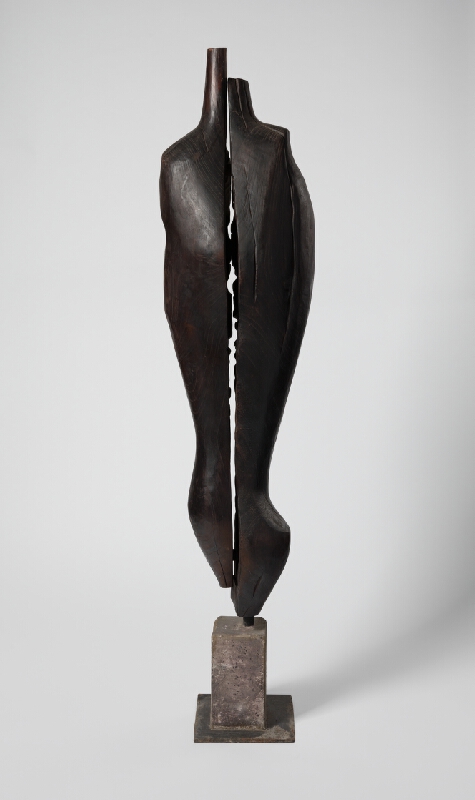 Juraj Hovorka – Pravdepodobná diagnóza 