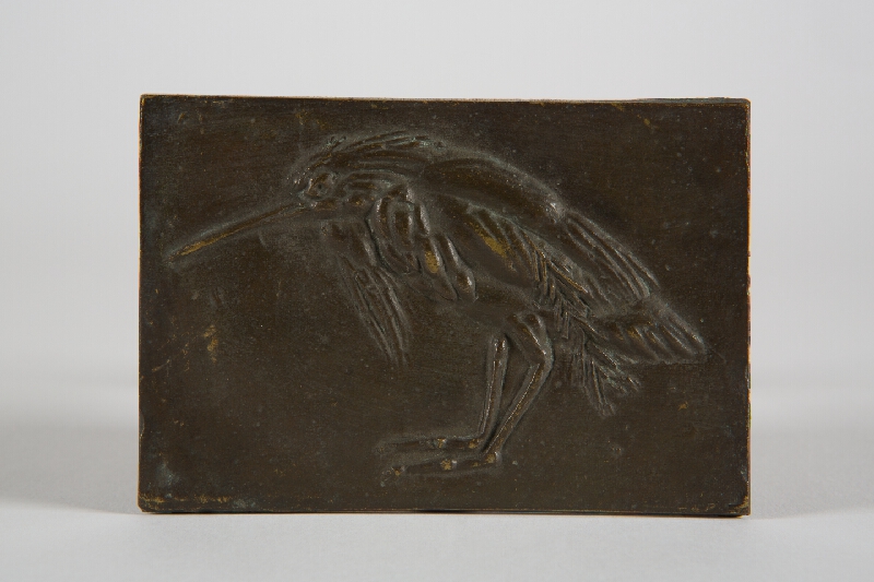 Marián Polonský – Portrét vtáka chavkoša 