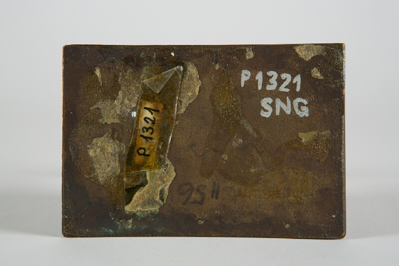 Marián Polonský – Portrét vtáka chavkoša 