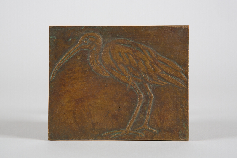 Marián Polonský – Ibis 