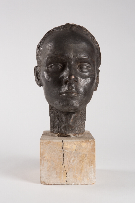 Alina Ferdinandy – Hlava mladého muža 