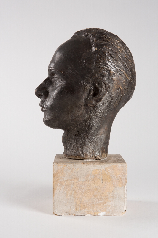 Alina Ferdinandy – Hlava mladého muža 