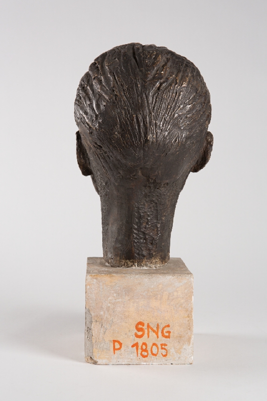 Alina Ferdinandy – Hlava mladého muža 