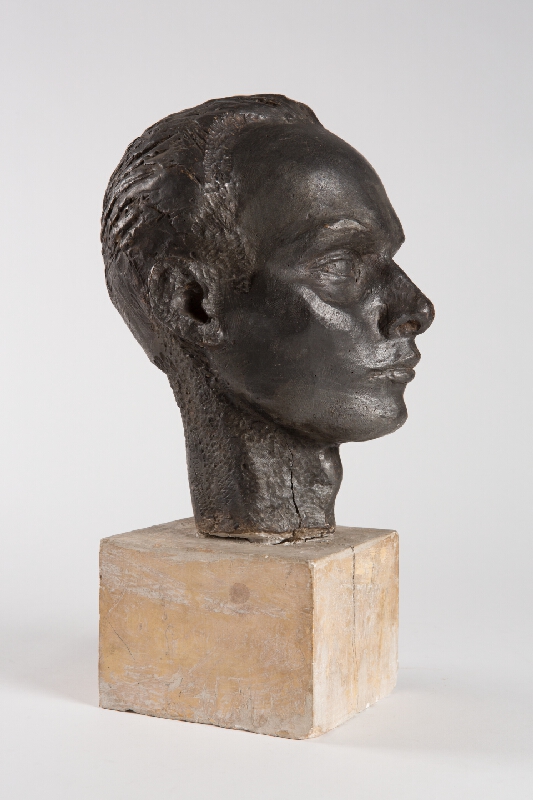 Alina Ferdinandy – Hlava mladého muža 