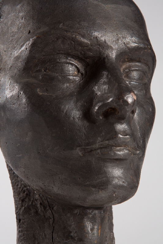 Alina Ferdinandy – Hlava mladého muža 