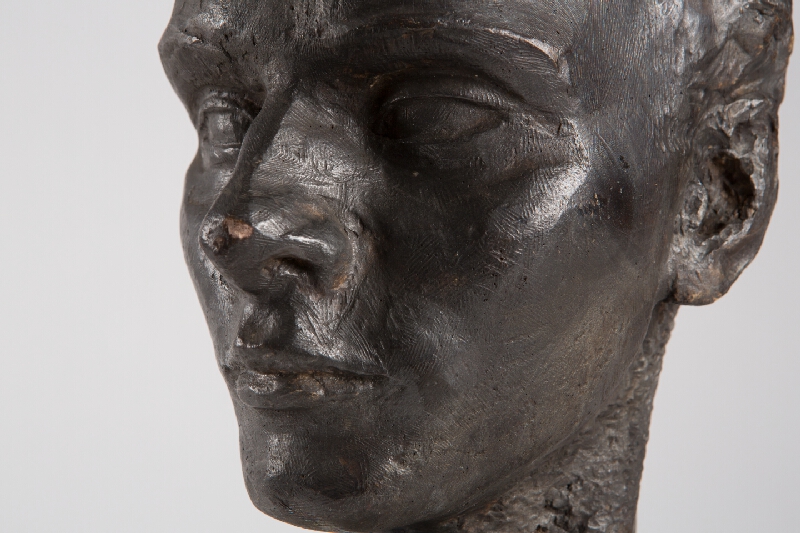 Alina Ferdinandy – Hlava mladého muža 