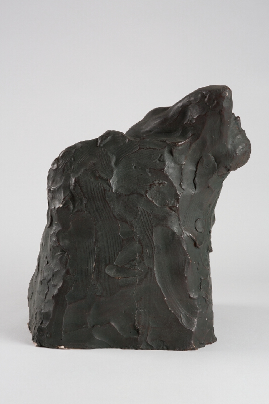 Karol Šovánka – Utrpenie 