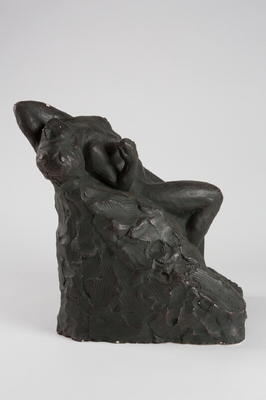 Karol Šovánka – Utrpenie 