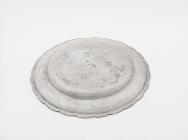 Christian Hirsche – Tanier cínový 