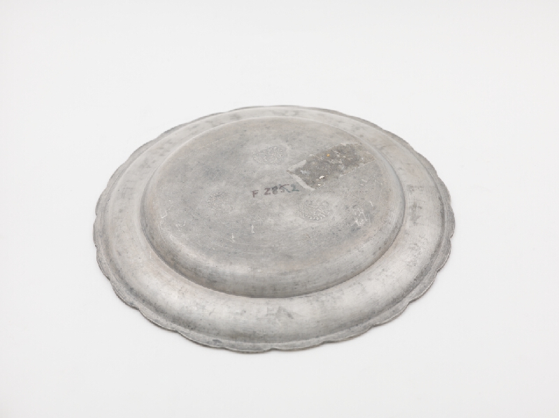 Christian Hirsche – Tanier cínový 