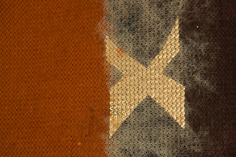 Viera Kraicová – Materstvo 