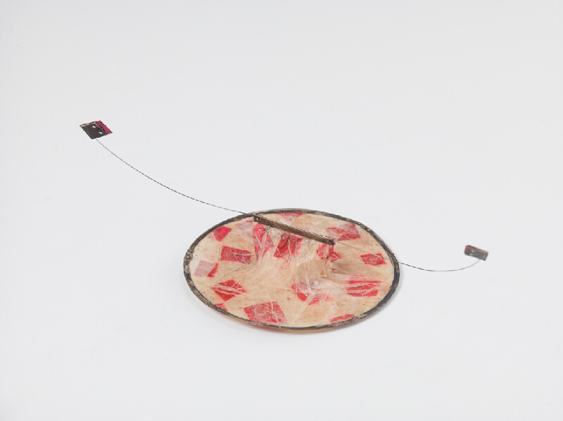 Ludmila Šikolová – Brošňa 