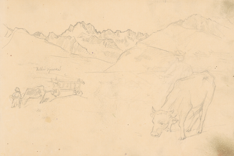 Jaroslav Augusta – Náčrt krajiny s pasúcou sa kravou v popredí  