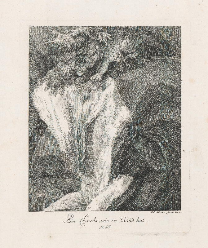 Johann Elias Ridinger – Loviaci rys 