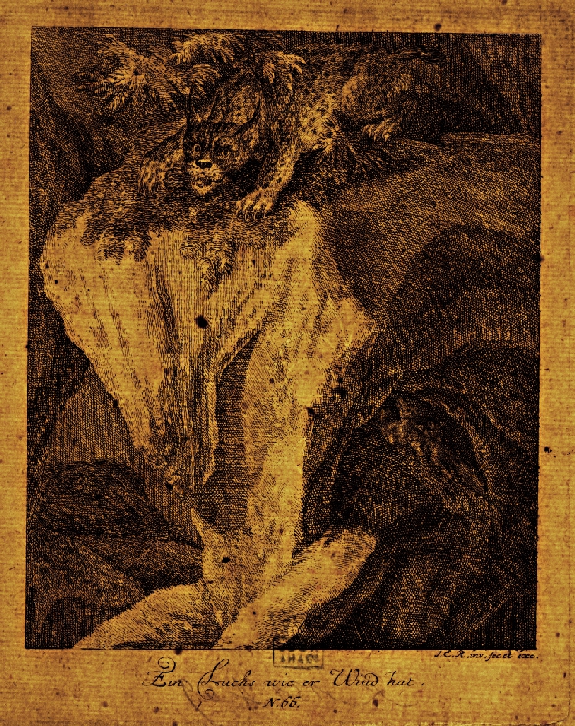 Johann Elias Ridinger – Loviaci rys 