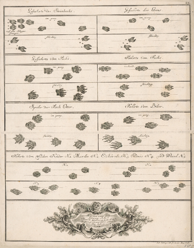 Johann Elias Ridinger – Stopy zvierat 
