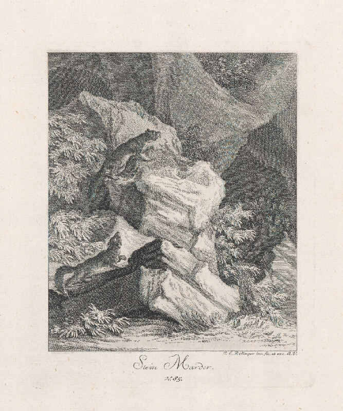 Johann Elias Ridinger – Loviace líšky 