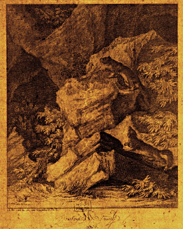 Johann Elias Ridinger – Loviace líšky 