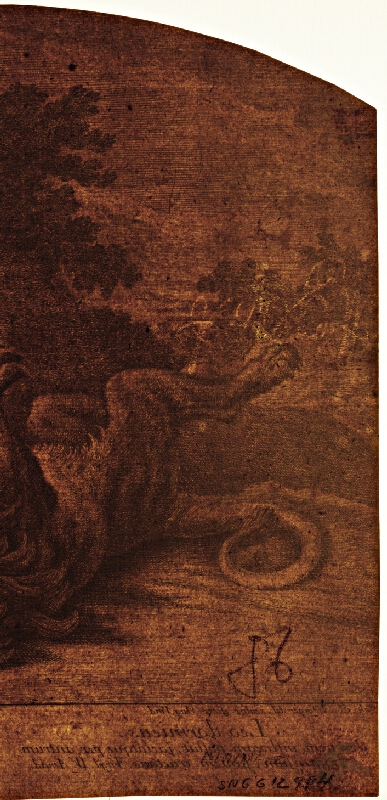 Johann Elias Ridinger – Spiaci lev 