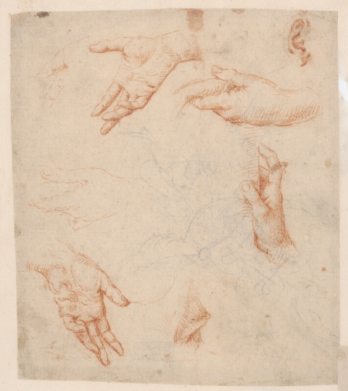 Stredoeurópsky majster z 18. storočia – Štúdie rúk 