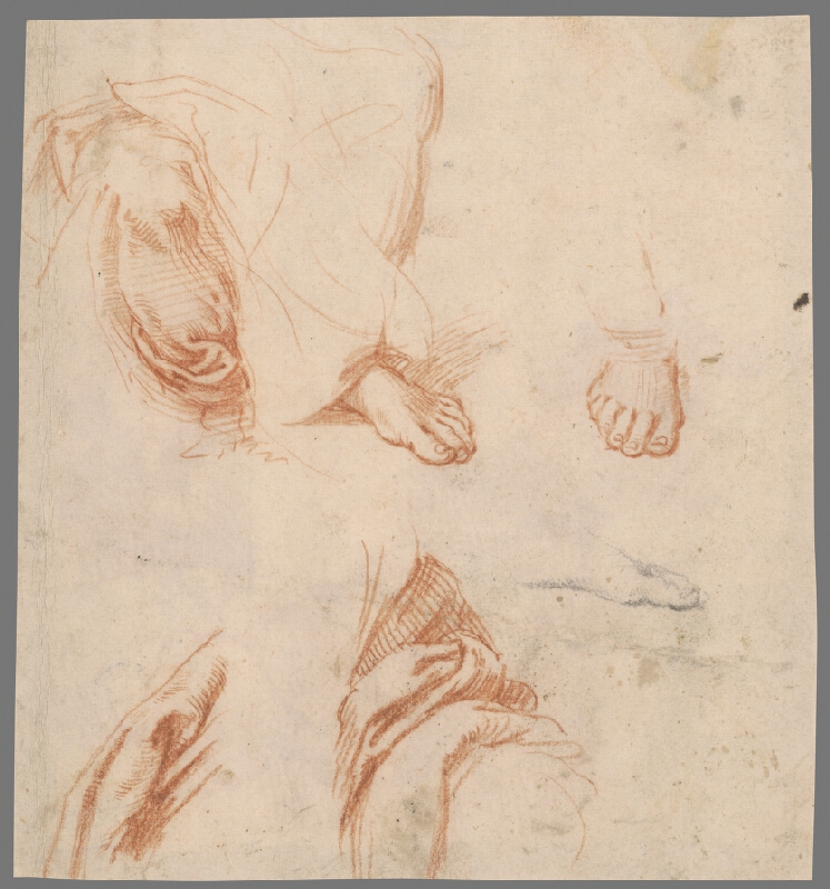 Stredoeurópsky majster z 18. storočia – Study of Feet with Drapery 