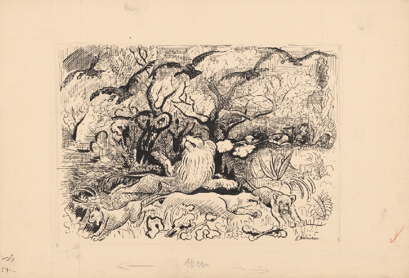 Arnold Peter Weisz-Kubínčan – Príbehy v divočine - 2 