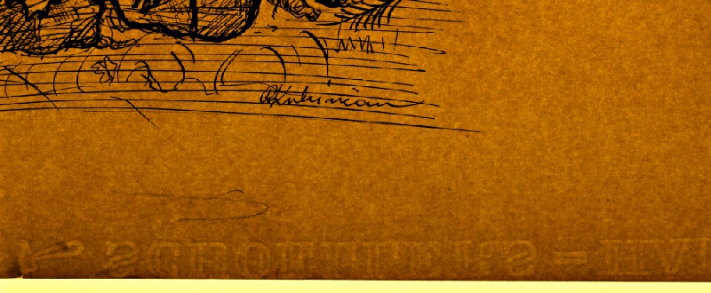 Arnold Peter Weisz-Kubínčan – Príbehy v divočine - 8 