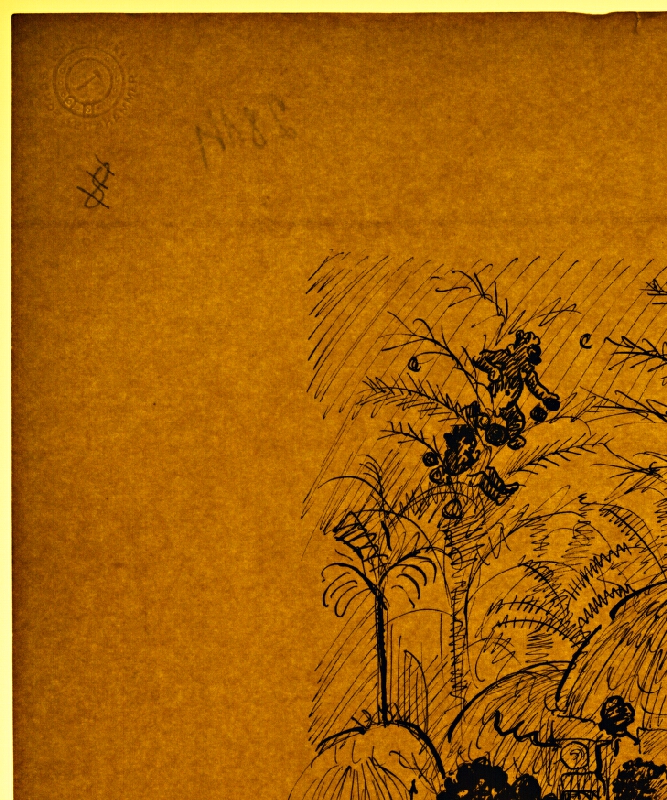 Arnold Peter Weisz-Kubínčan – Príbehy v divočine - 8 