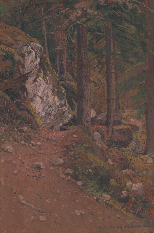 Ferdinand Katona – Cesta na Kamzík 