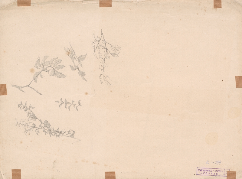 Ferdinand Katona – Spišská Stará Ves 