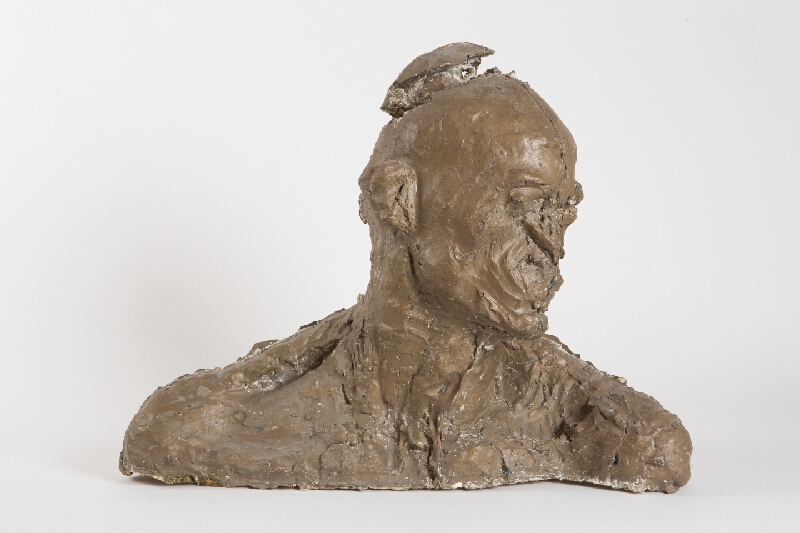 Peter Sceranka – Hlava muža 