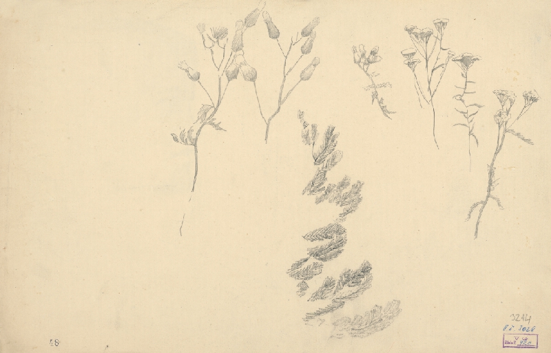 Ferdinand Katona – Štúdia hlavy dievčaťa 