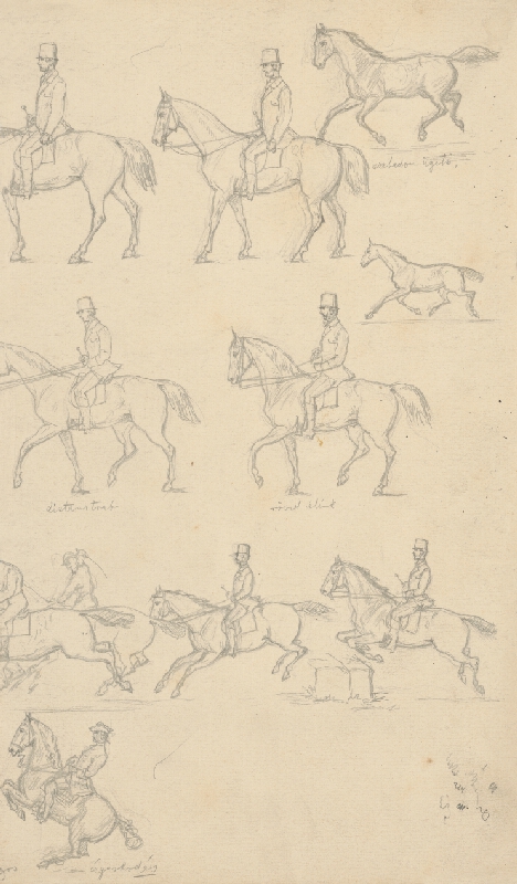 Klimkovič – Štúdia kráčajúcich koní 