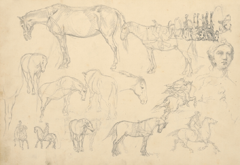 Slovenský maliar z 2. polovice 19. storočia – Štúdie koní a jazdcov 