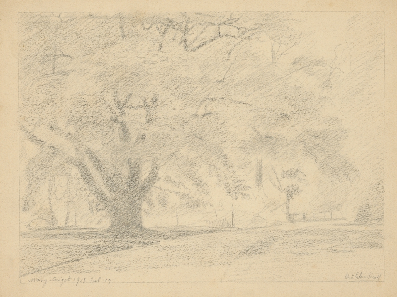 Dezider Czölder – Košatý strom 