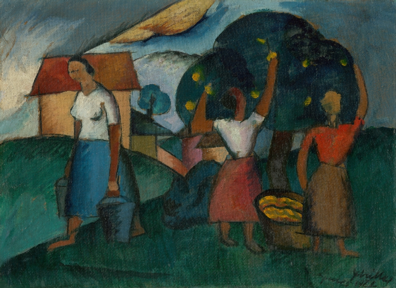 Gejza Schiller – Oberačka 