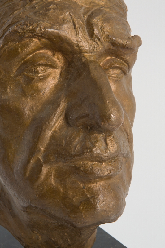 Alexander Trizuljak – Docent dr. Virsík 