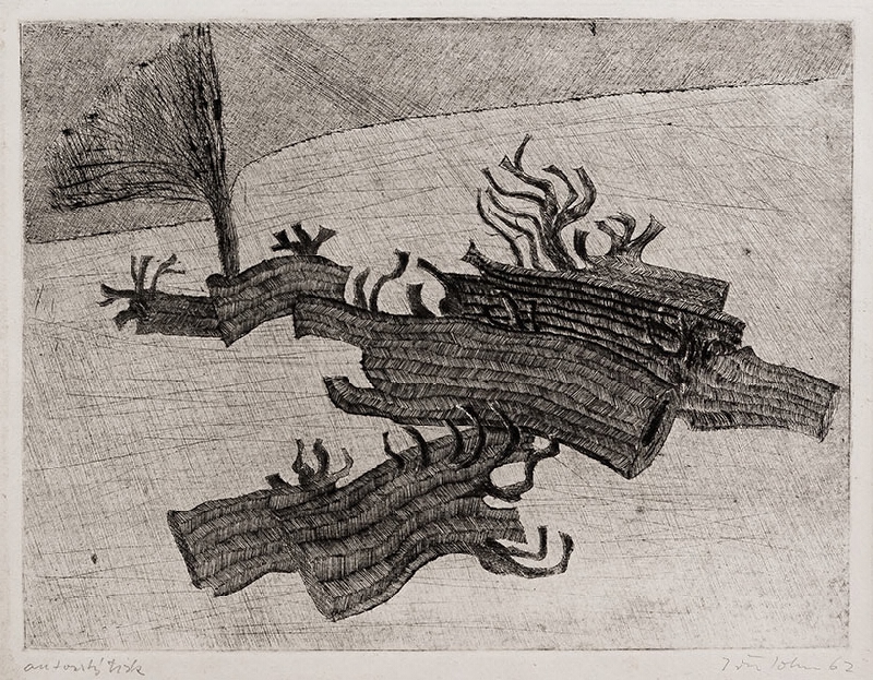 Jiří John – Kořeny II. 