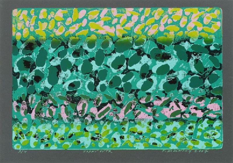 František Hodonský – Vodní vítr 