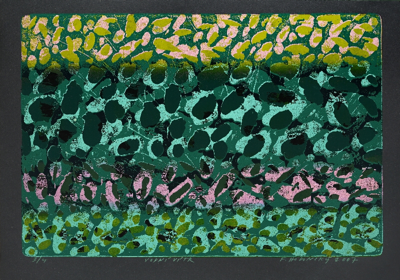 František Hodonský – Vodní vítr 