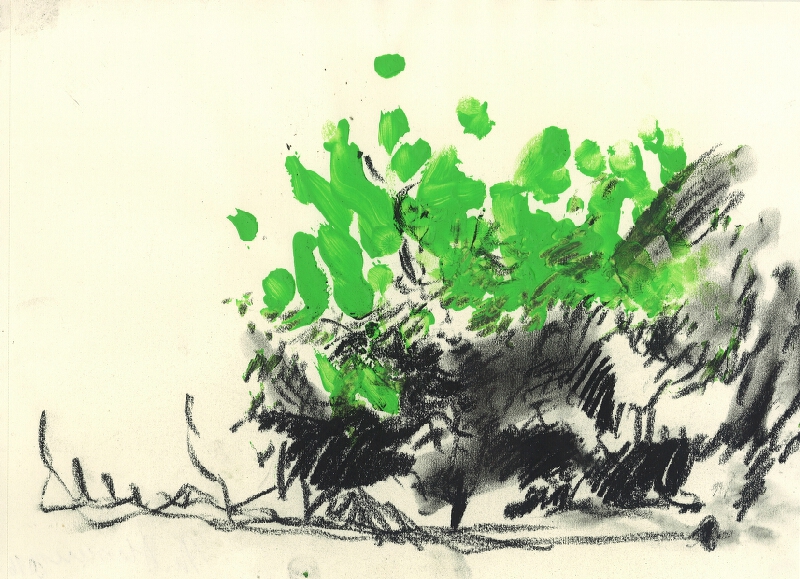 Mariana Alasseur – Keře - Počedělice VI 