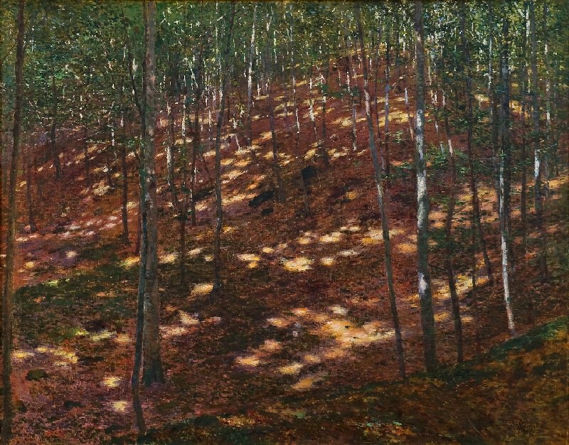 Antonín Slavíček – Slunce v lese 