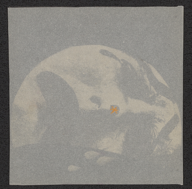 Jiří Rathouský – Kýč, Měsíční sonáta 